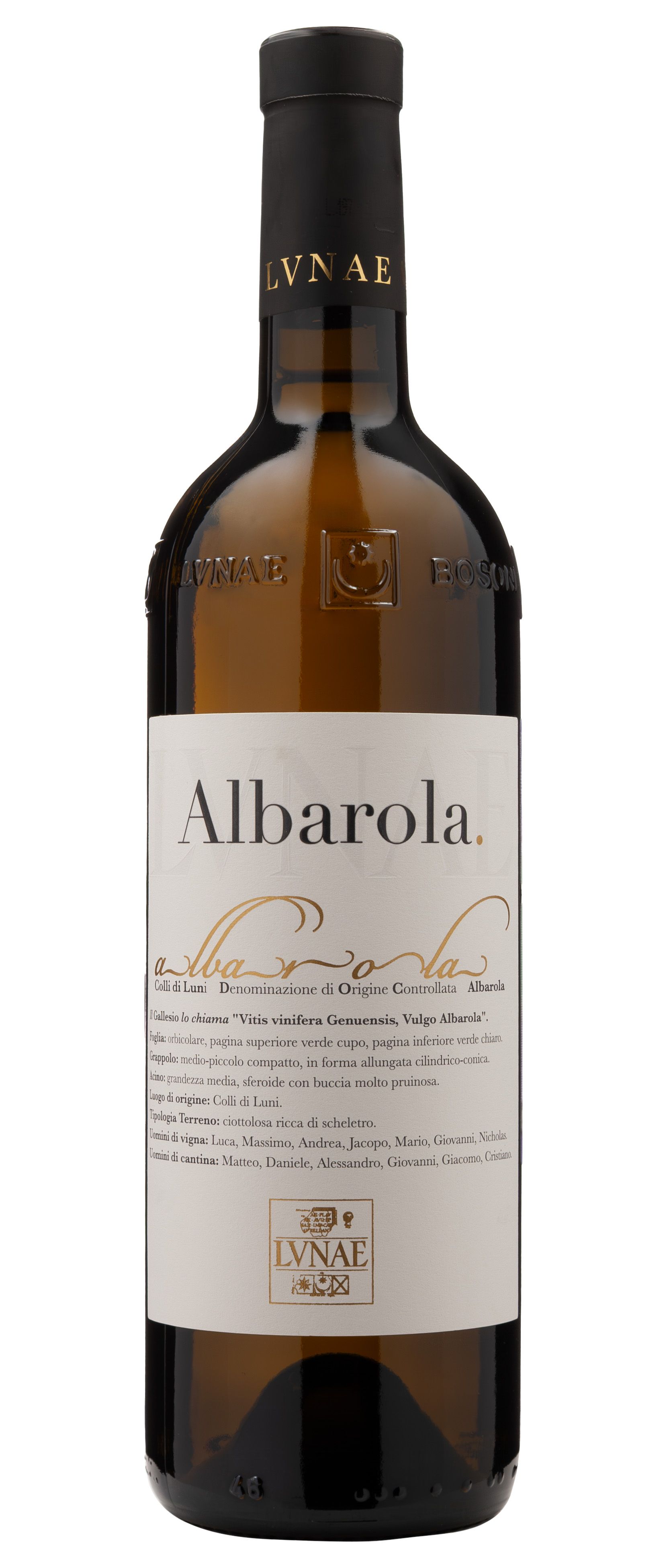 Белое Сухое Cantine Lunae Albarola