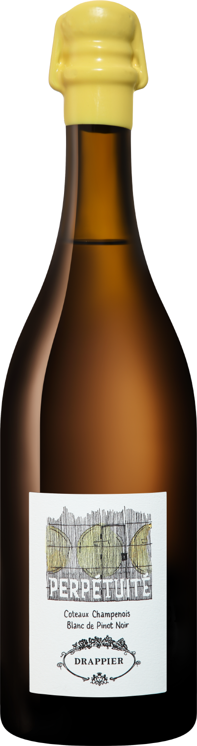 Вино Белое Сухое Drappier Perpetuite Blanc de Pinot Noir Coteaux Champenois 0,75 л фото