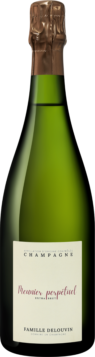 Вино игристое Белое Брют Famille Delouvin Meunier Perpetuel Extra Brut Champagne 0,75 л фото