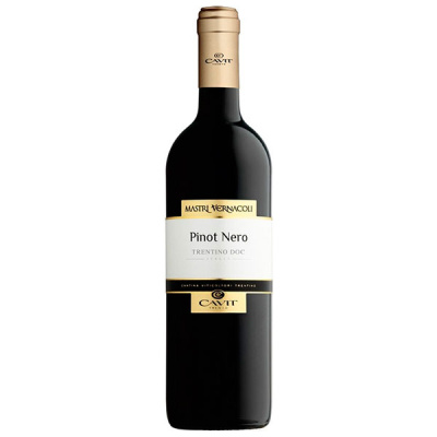 Вино Красное Сухое Cavit Mastri Vernacoli Pinot Nero Trentino 2020 0,75 л Вино Красное Сухое Cavit Mastri Vernacoli Pinot Nero Trentino 2020 0,75 л фото