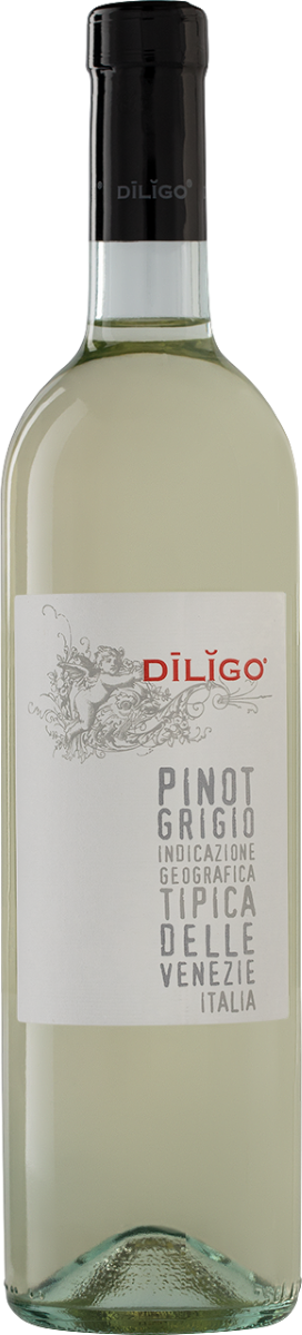 Вино Белое Сухое Anna Spinato Diligo Pinot Grigio 2024 0,75 л фото