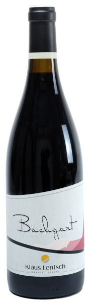 Вино Красное Сухое Klaus Lentsch Bachgart Pinot Noir 2019 0,75 л фото