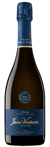 Вино игристое Белое Брют Jane Ventura Do M Gran Reserva Vintage Brut Nature Cava 0,75 л фото