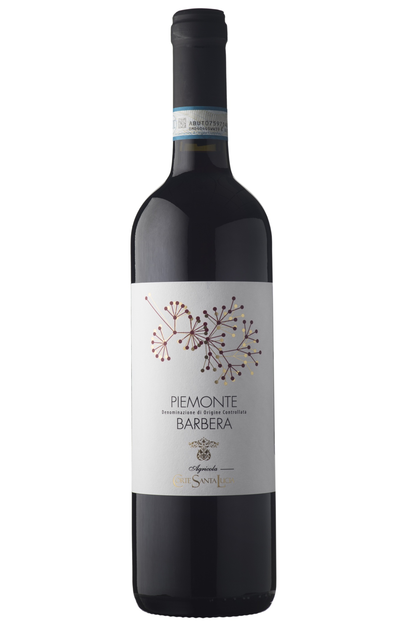 Вино Красное Сухое Corte Santa Lucia Barbera 2021 0,75 л фото
