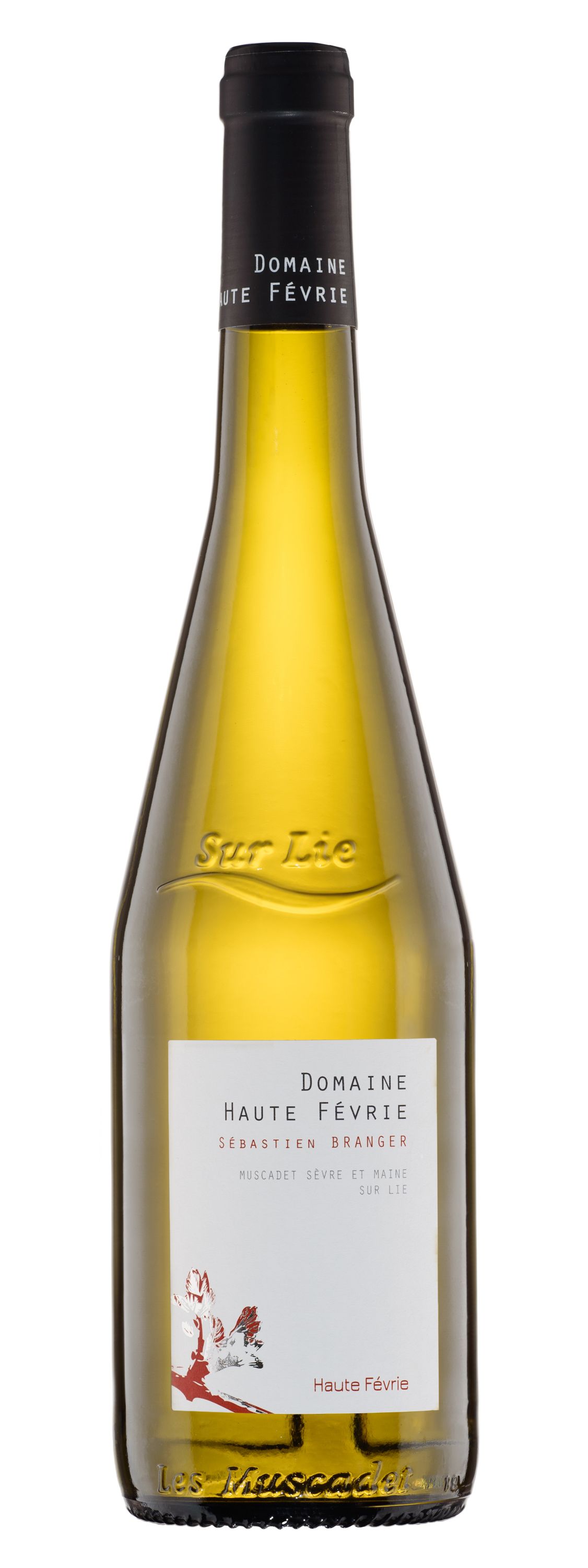 Вино Белое Сухое Domaine La Haute Fevrie Muscadet Sevre Et Maine Sur Lie 2025 0,75 л фото