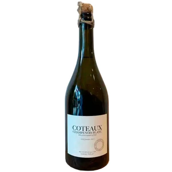 Вино Белое Сухое Karine Prelat L'oeuf de K Coteaux Champenois Blanc 2021 0,75 л фото