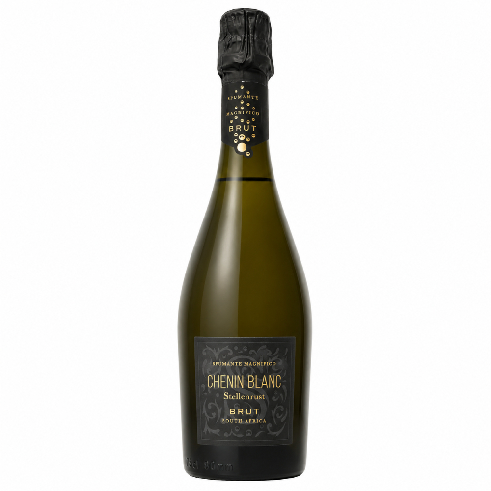 Вино игристое Белое Брют Stellenrust Chenin Blanc Brut 2024 0,75 л фото