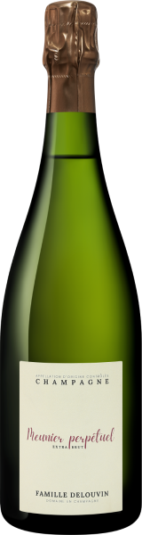 Вино игристое Белое Брют Famille Delouvin Meunier Perpetuel Extra Brut Champagne 0,75 л фото