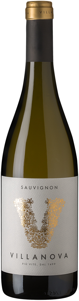 Вино Белое Сухое Villanova Sauvignon Collio 2021 0,75 л фото