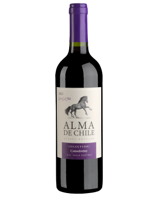 Вино Красное Сухое Alma de Chile Carmenere 2023 0,75 л фото