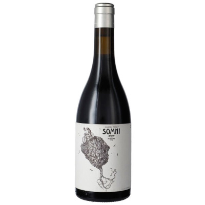 Вино Красное Сухое Portal del Priorat Somni Priorat 2017 0,75 л фото