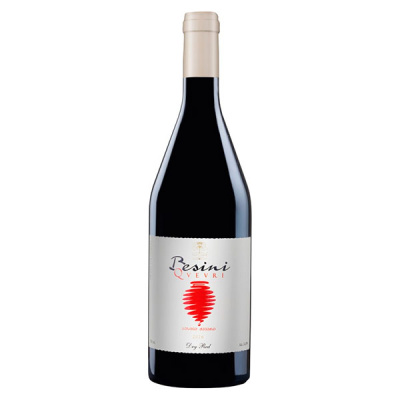 Вино Красное Сухое Besini Qvevri Red 2018 0,75 л фото