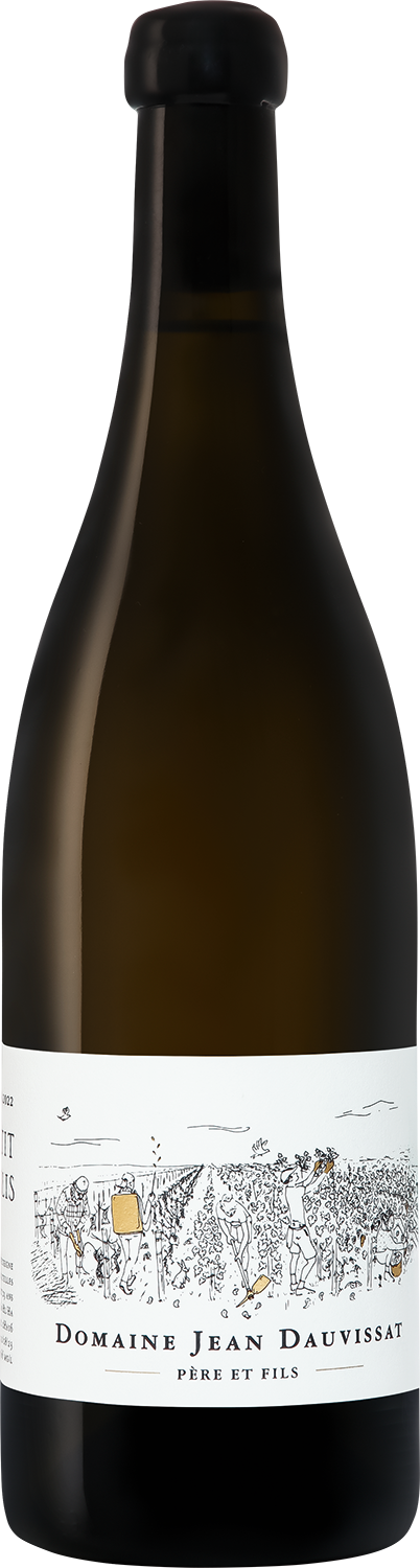 Вино Белое Сухое Domaine Jean Dauvissat Père et Fils Petit Chablis 2022 0,75 л фото