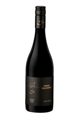 Вино Красное Сухое Perro Callejero Pinot Noir 2021 0,75 л фото