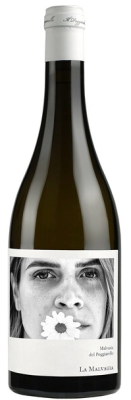 Вино Белое Сухое Il Poggiarello La Malvagia Malvasia Emilia 2023 0,75 л фото