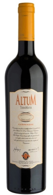 Вино Красное Сухое ТерраМатер Алтум Карменер Сингл Виньярд Valle del Maipo 2021 0,75 л фото