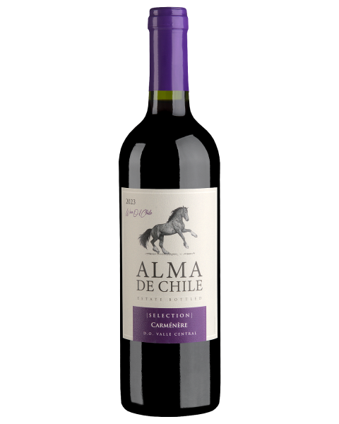 Вино Красное Сухое Alma de Chile Carmenere 2023 0,75 л фото