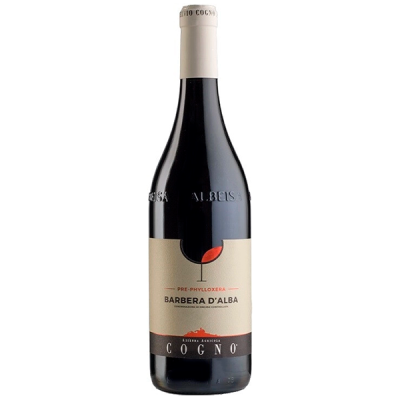 Вино Красное Сухое Elvio Cogno Pre-Phylloxera Barbera d'Alba 2018 0,75 л фото
