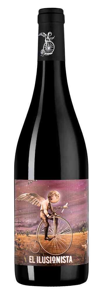 Вино Красное Сухое Adegas Tollodouro El Ilusionista Crianza Ribera Del Duero 2021 0,75 л фото