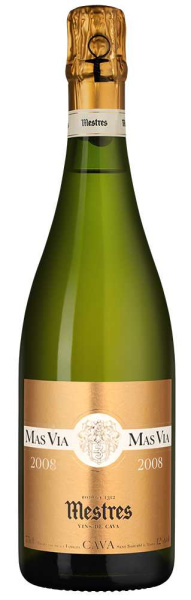 Вино игристое Белое Экстра Брют Mestres Mas Via Gran Reserva Brut Cava 2008 0,75 л фото