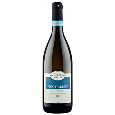 Вино Белое Полусухое Terra Vizina Pinot Grigio delle Venezie 2020 0,75 л фото