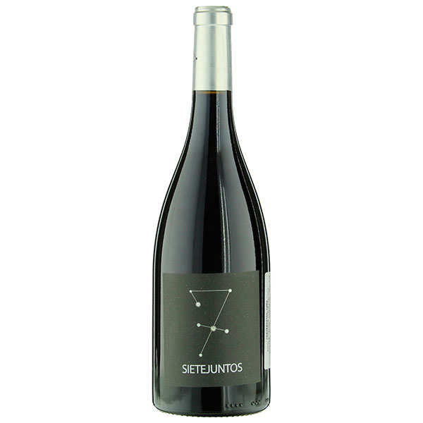 Вино Красное Сухое Microbio Sietejuntos Merlot Castilla y Leon 2018 0,75 л фото