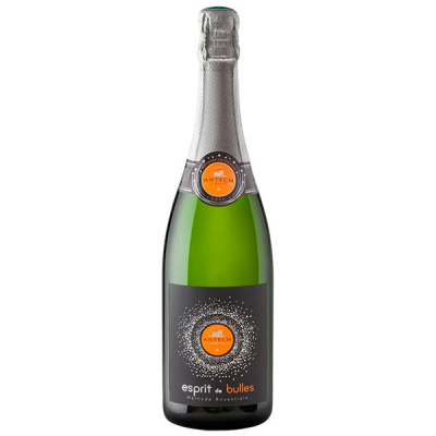 Вино игристое Белое Сладкое Antech Esprit de Bulles Methode Ancestrale 0,75 л фото