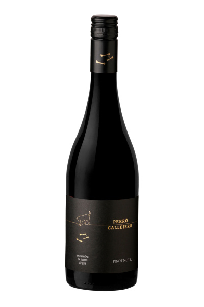 Вино Красное Сухое Perro Callejero Pinot Noir 2021 0,75 л фото