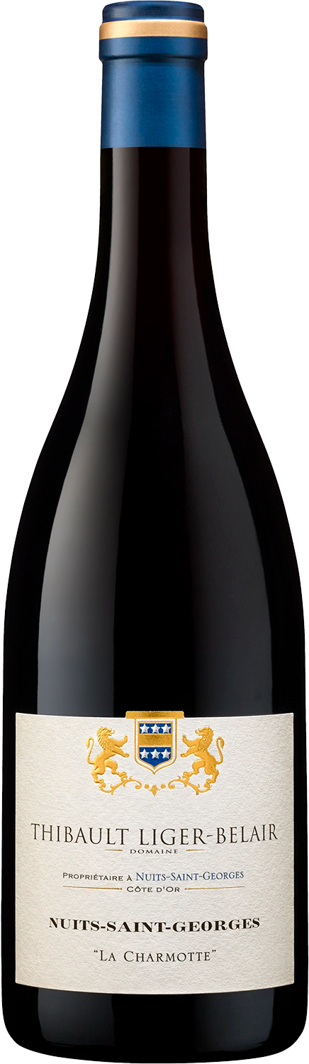Вино Красное Сухое Thibault Liger-Belair La Charmotte Nuits-Saint-Georges 2021 0,75 л фото