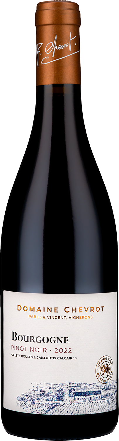 Вино Красное Сухое Domaine Chevrot et Fils Pinot Noir Bourgogne 2022 0,75 л фото