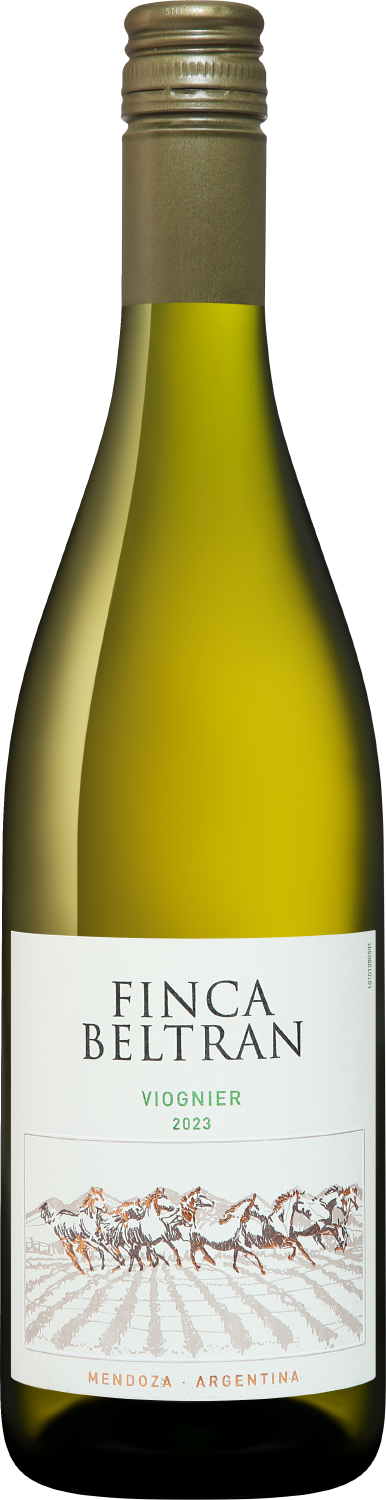 Вино Белое Сухое Finca Beltran Viognier Mendoza 2023 0,75 л фото