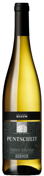 Вино Келлерай Бозен Пунтшайт Кернер 2024 Белое Сухое 13,5% 0,75 л фото