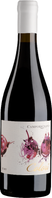 Вино Красное Сухое Camporignano Colori Toscana 2016 0,75 л фото