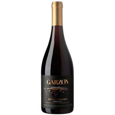 Вино Красное Сухое Garzon Single Vineyard Pinot Noir Maldonado 2020 0,75 л фото