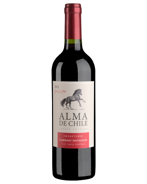 Вино Красное Сухое Alma de Chile Cabernet Sauvignon 2022 0,75 л фото