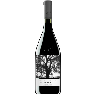 Вино Красное Сухое Pago De Los Capellanes El Nogal 2019 0,75 л фото