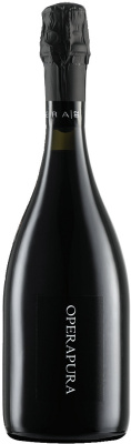 Вино игристое Красное Брют Opera 02 OperaPura Lambrusco Grasparossa di Castelvetro 0,75 л фото