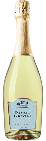 Вино игристое Белое Брют Cari Vigneti Pinot Grigio Spumante Extra Dry 0,75 л фото