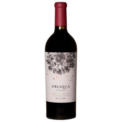 Вино Красное Сухое Ventisquero Obliqua Carmenere Apalta Valley 2019 0,75 л фото
