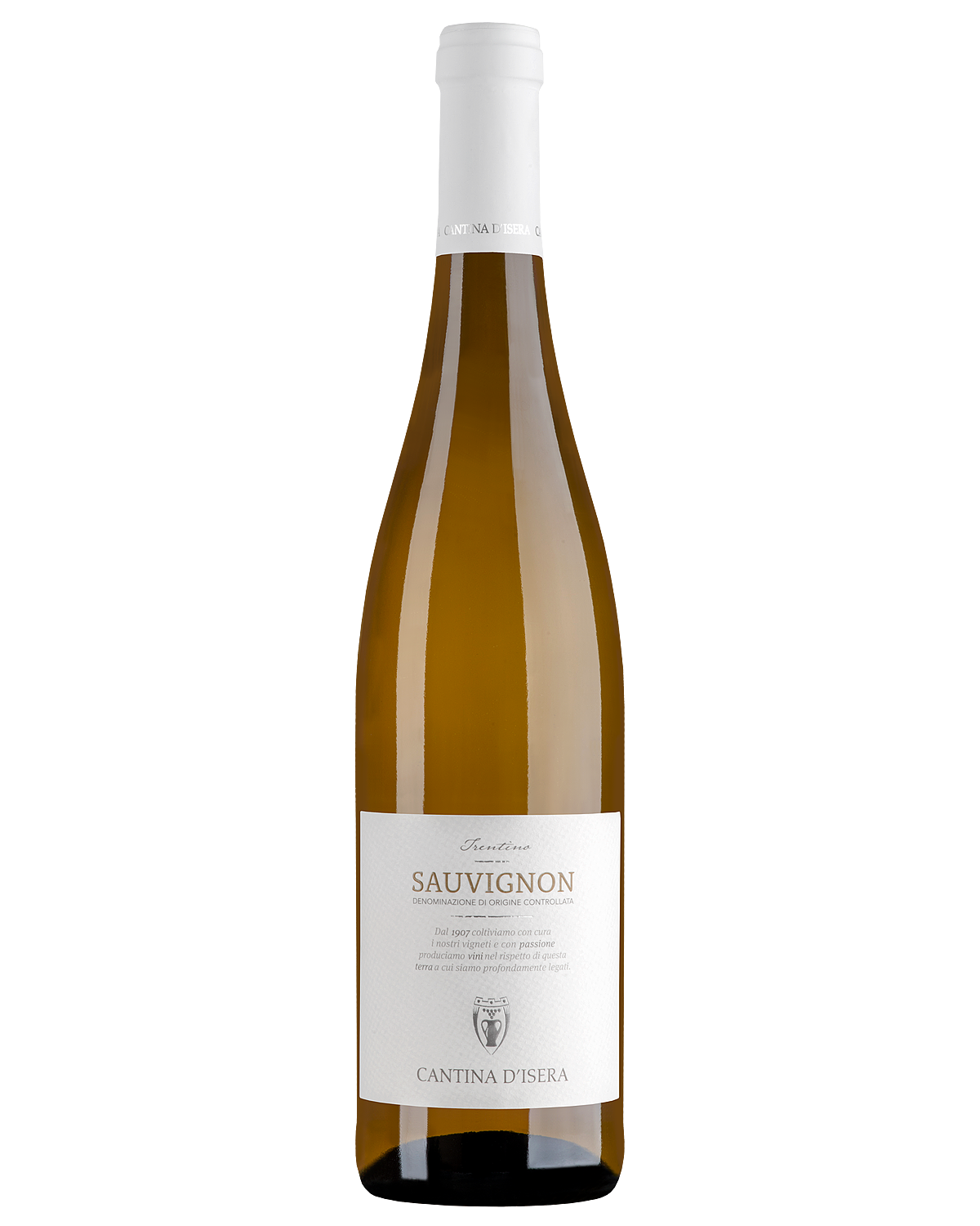 Вино Белое Сухое Cantina d'Isera Sauvignon Trentino 2021 0,75 л фото