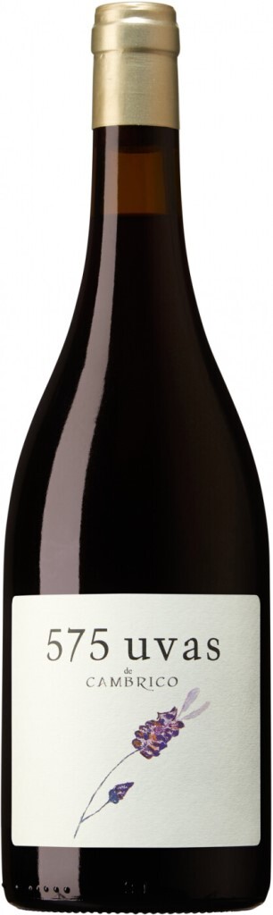Вино Красное Сухое Cambrico 575 Uvas de Cambrico 2017 0,75 л фото