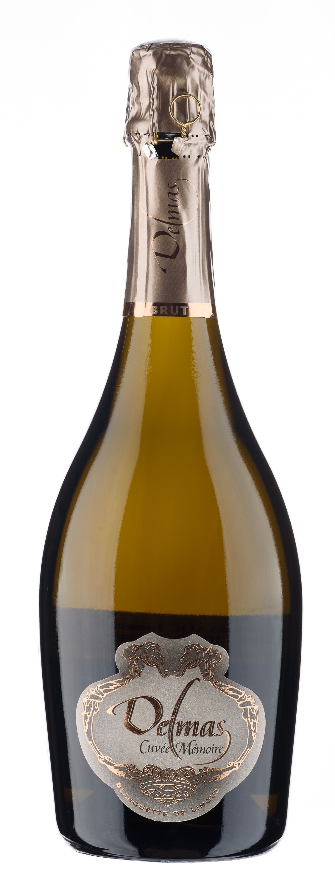 Вино игристое Белое Брют Domaine Delmas Blanquette de Limoux Cuvee Memoire Brut 2020 0,75 л фото