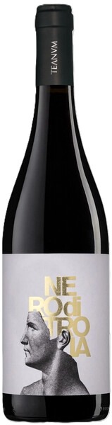Вино Красное Сухое Teanum Nero di Troia Puglia 2024 0,75 л фото