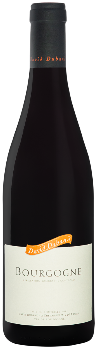Вино Красное Сухое David Duband Bourgogne Pinot Noir 2023 0,75 л фото