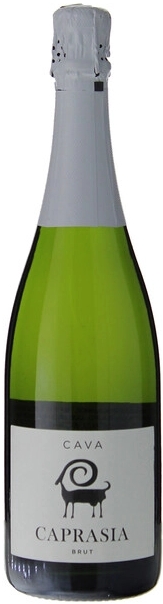 Вино игристое Белое Брют Vegalfaro Caprasia Brut Cava 0,75 л фото