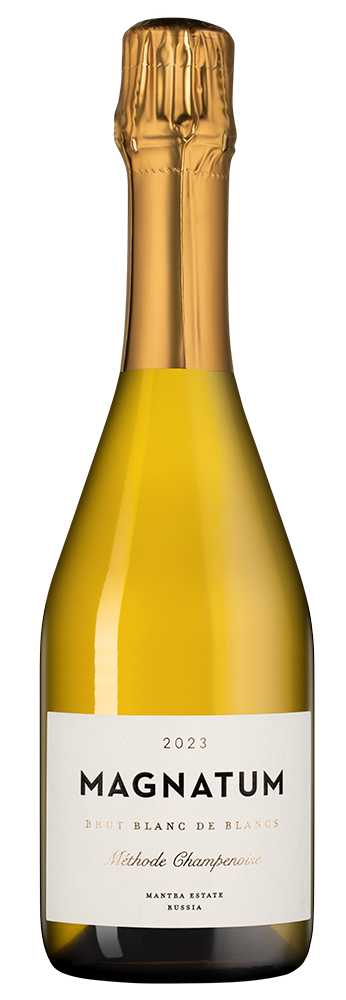 Вино игристое Белое Брют Lefkadia Magnatum Blanc de Blancs Brut Kuban Krymsk 2023 0,75 л фото