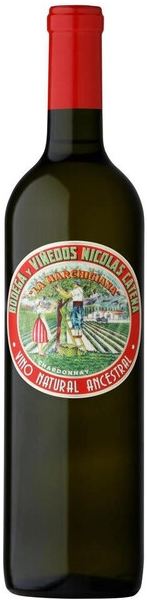Вино Белое Сухое La Marchigiana Chardonnay Mendoza 2021 0,75 л фото