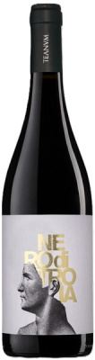 Вино Красное Сухое Teanum Nero di Troia Puglia 2024 0,75 л фото