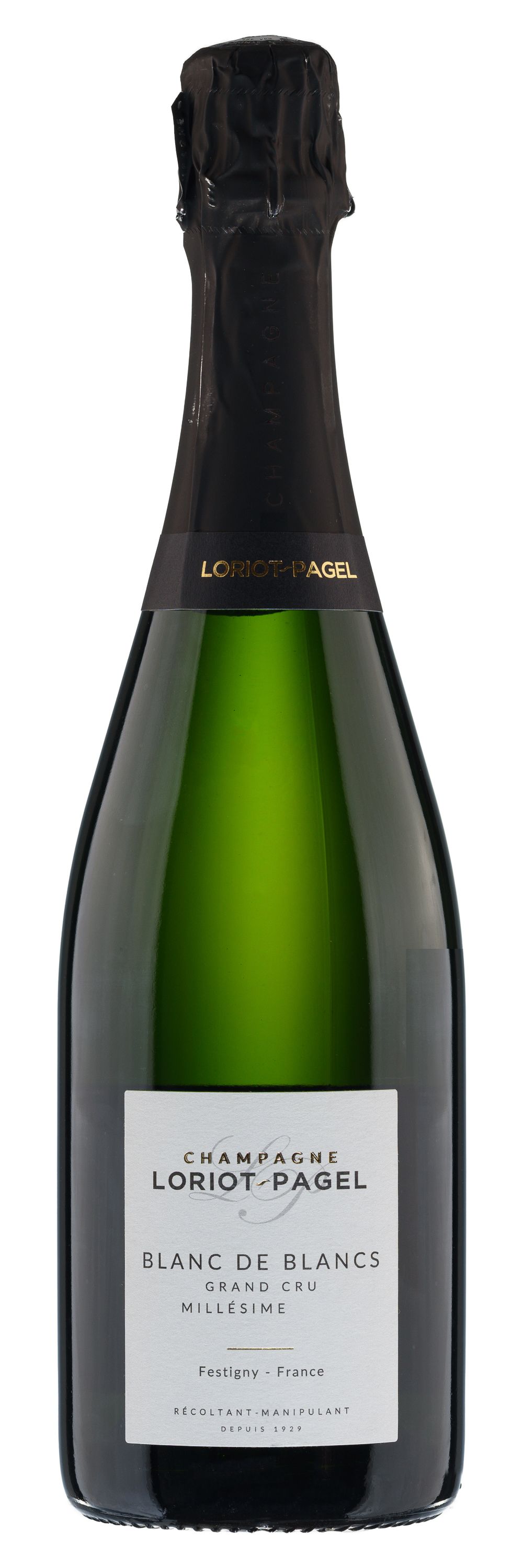 Вино игристое Белое Брют Loriot-Pagel Blanc De Blancs Brut Grand Cru 2021 0,75 л фото