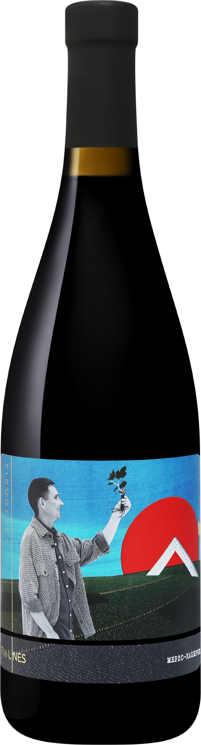 Вино Красное Сухое Fanagoria The Lines Merlot-Cabernet Kuban Taman Peninsula 2020 0,75 л фото